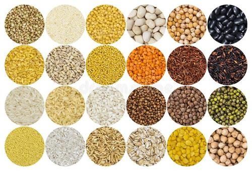 Seed Bagging And Sealing Machine